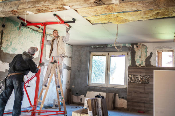 Best Cellulose Insulation in Kensington Park, FL